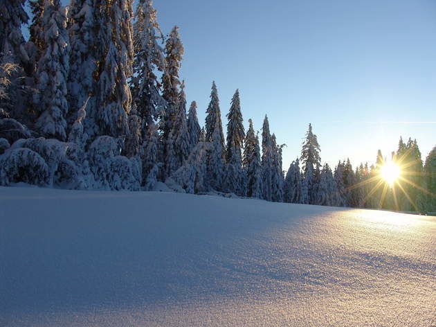 Wunderschöne Winterlandschaft mit untergehender Sonne um Weihnachten rum im St. Wolfgang