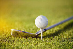 Sie können nahe unseres Hotels in Bad Griesbach auch Golf spielen.