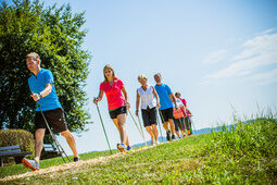 Eine Gruppe von fünf Erwachsenen geht mit Nordic-Walking-Stöcken einen grünen Pfad entlang. Sie sind sportlich gekleidet, umgeben von Wiese und Bäumen unter einem klaren blauen Himmel.